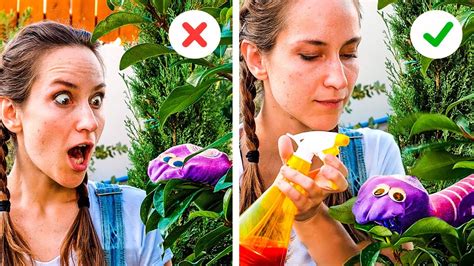 40 gardening hacks plant tips for you garden decor youtube