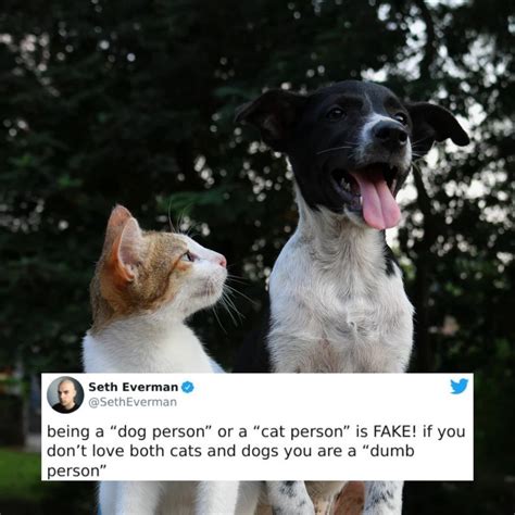 40 Funny “dog People Vs Cat People” Tweets That Make Us Laugh
