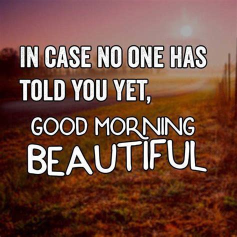 Top 40 Best Good Morning Beautiful Images And Quotes Funzumo