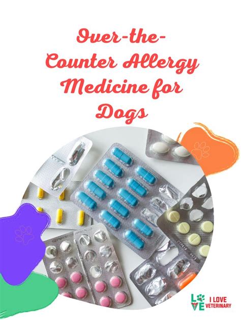 Over The Counter Allergy Medicine For Dogs I Love Veterinary Blog