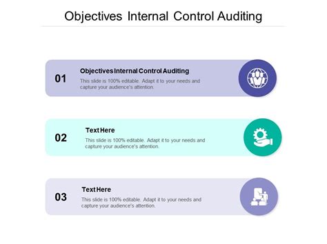 Objectives Internal Control Auditing Ppt Powerpoint Presentation