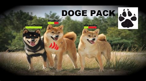 Roblox Doge Pack Trailer Youtube
