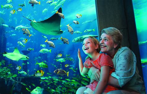 8 Super Fun Things To Do In Dubai With Kids Attractiontix