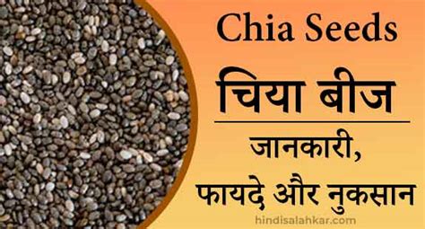 चिया सीड के फायदे और नुकसान Chia Seeds In Hindi Name Hindi Salahkar