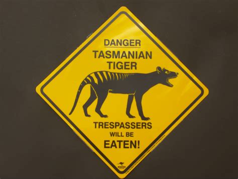 Danger Tasmanian Tiger Roadsign Medium Tasmanian Postcards And Souvenirs