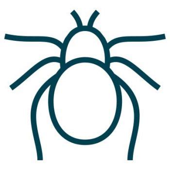 Die reinste mottenplage im haus. Kugelkäpfer Tierlexikon - Kleefeld Schädlingsbekämpfung