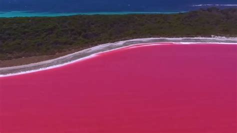 Australias Stunning Pink Lake Youtube