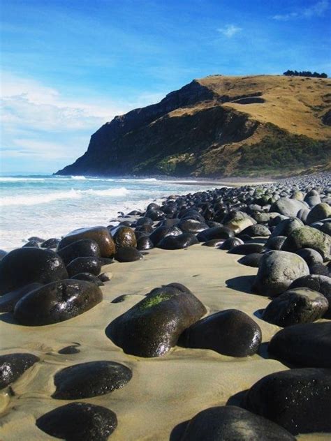 Pebble Beach Near Dunedin New Zealand New Zealand Beach New