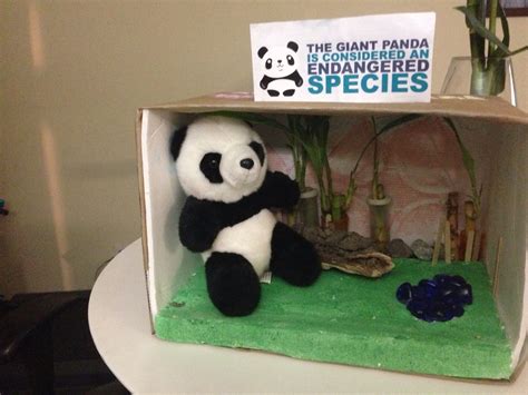 Giant Panda Diorama Panda Activities Rainforest Project
