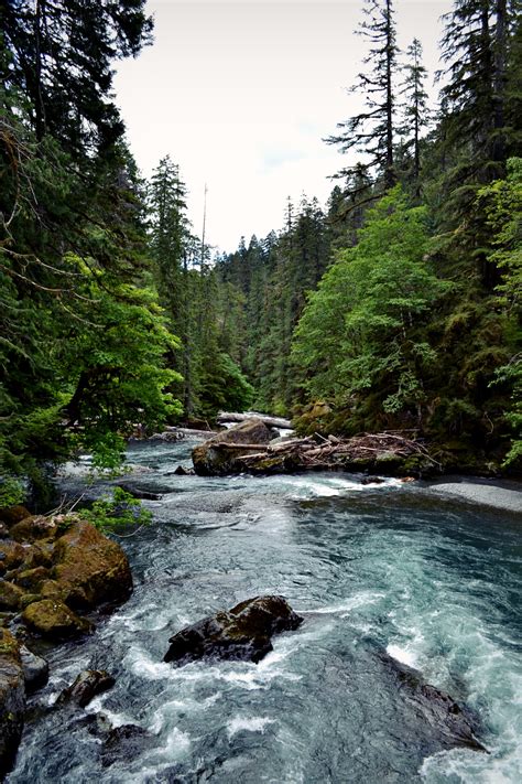 Travel Olympic National Park In Washington Usa