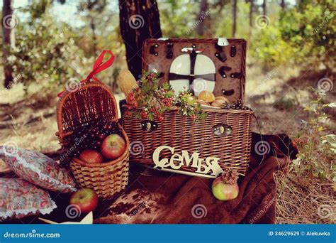 Still Life Of Autumn Picnic Stock Image Image Of Pine Outdoors 34629629