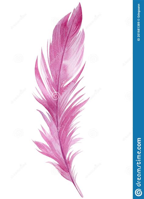 Beautiful Pink Feather On White Isolated Background Watercolor