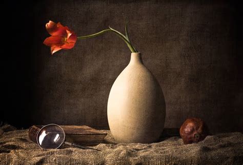 Beautiful Still Life Photography The Daily Obsession Yael