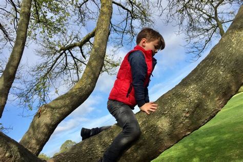 How To Teach Kids Safe Tree Climbing Skills