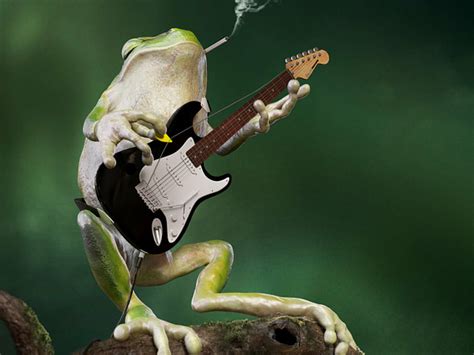 Guitar Frog By Nicolas Delille On Dribbble