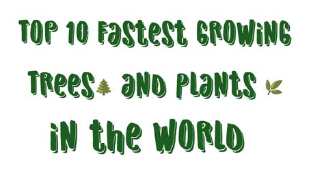 Top 10 Fastest Growing Plants And Trees In The World Youtube