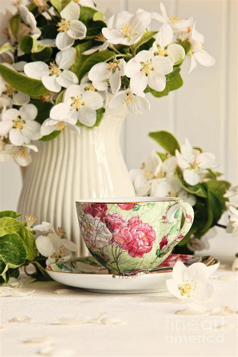 Tea Cup With Fresh Flower Blossoms Photograph By Sandra Cunningham