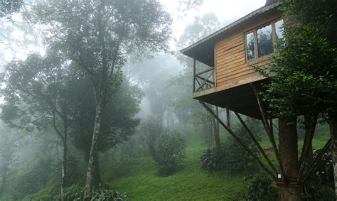 Nature Zone Jungle Resort In Munnar Room Deals Photos And Reviews