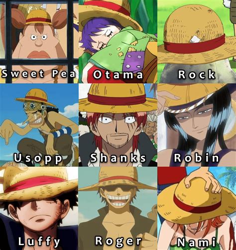 This Are All One Piece Characters That Wore Luffys Hat Rmemepiece