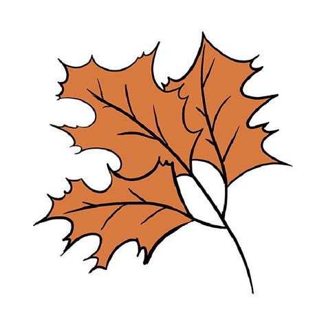 15 Easy Fall Leaf Drawing Ideas Fall Leaves Drawing