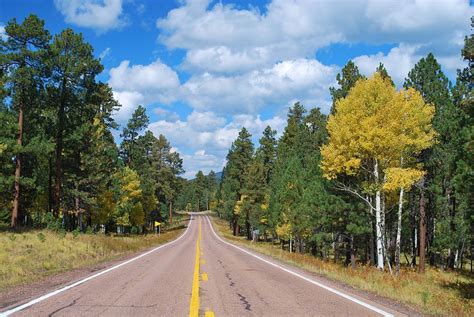 Arizona Mountain Road Photograph By Richard Jenkins Fine Art America
