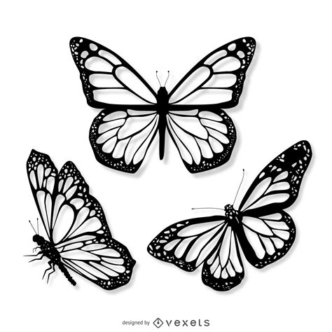 3 Realistic Butterfly Illustration Set Vector Download