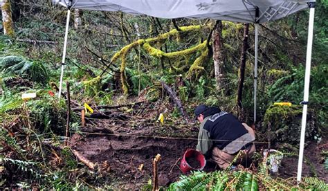 Willamette Valley News Wednesday 38 Remains Found Near Sweet Home