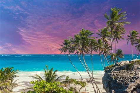 Bottom Bay Beach On Barbados At Sunset Stock Image Image Of Dusk