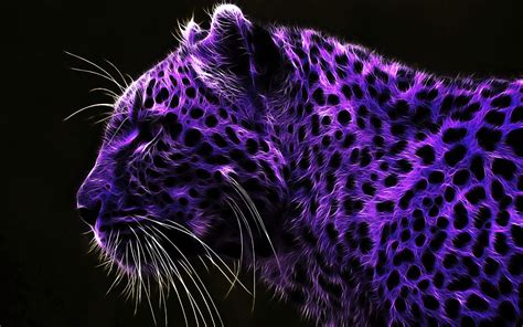 4k Purple Wallpapers High Quality Download Free