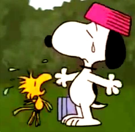 Snoopy Says Goodbye To Woodstock By Bradsnoopy97 On Deviantart