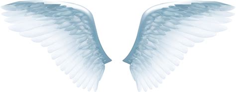 Angel Wing Icon Exquisite White Angel Wings Png Download 1684659