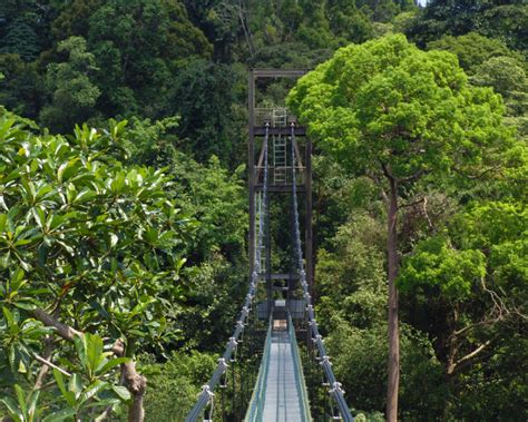 It is a favourite hiking trail for fitness enthusiasts living in the bayan baru area. Where To Hike in Singapore: Southern Ridges, Windsor ...