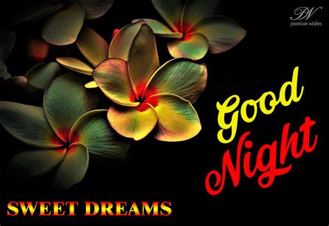 Sweet Dreams Good Night Friends Sleep Well And Peacefully Premium