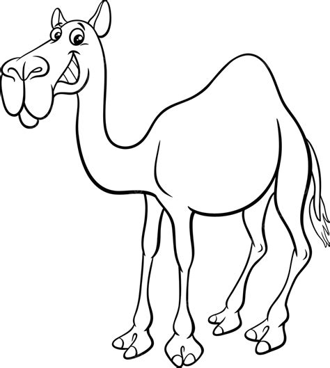 Coloring Book Page Featuring A Cartoon Character Of A Dromedary Camel