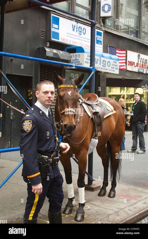 A Member Of The Nypd Mounted Unit Before The Start Of The St Patricks