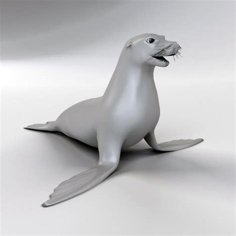 3d Model Sea Seal