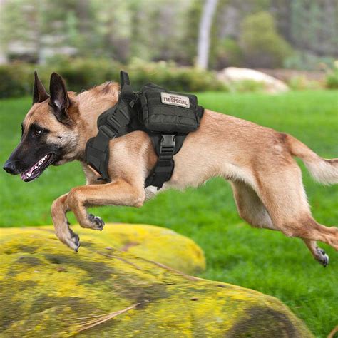 Rabbitgoo Tactical Dog Harness Vest Medium With Handlemilitary Working