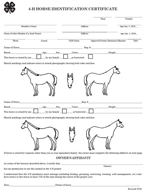 Horse Identification Forms Due June 1 Announce University Of