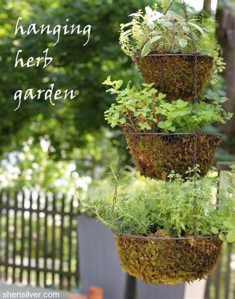 Diy For The Home Hanging Herbs Hanging Herb Gardens Hanging Herb Garden