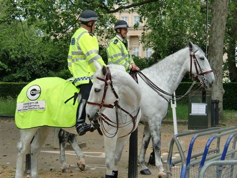 Mounted Police In London Along The Mall Horse Guards Police Horses
