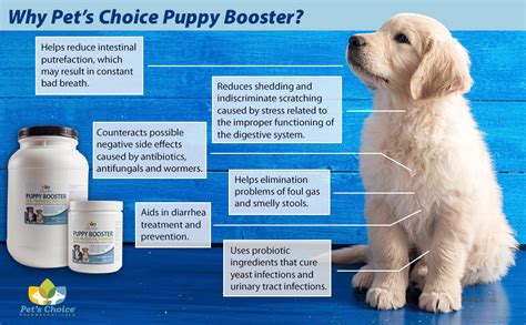 While most people and pets are first given probiotics for digestive reasons, recent human and animal studies have begun to show. Puppy Booster, Dog Probiotic Powder, 16 oz