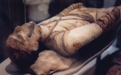 Archaeologists Find Well Preserved Mummy In Egypt The Times Of Israel