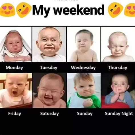 Funny short jokes that will make your day! Memes Net: 100 meme that make you laugh in 2020 | Fun ...
