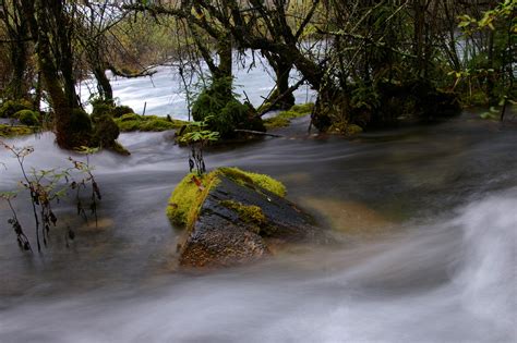 Free Stock Photo Of Moss Covered Rocks In Flowing River Photoeverywhere