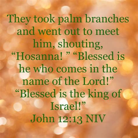 John 1213 They Took Palm Branches And Went Out To Meet Him Shouting