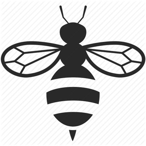 Black Bee Png Png Image Collection
