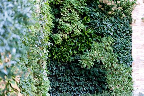 Green Wall Ferrara