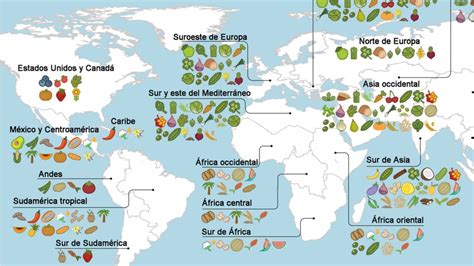 El Mapa Que Muestra El Origen De Los Alimentos Que Comemos Bbc Mundo
