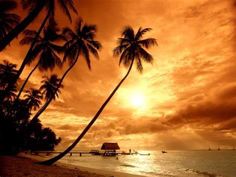 Stok foto, gambar, dan video vektor bebas royalti. FOTO-GAMBAR SUNSET-MATAHARI TENGGELAM TERINDAH | freewaremini