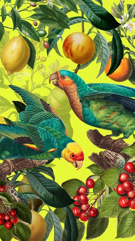 Tropical Birds Pattern Mobile Wallpaper Premium Photo Illustration